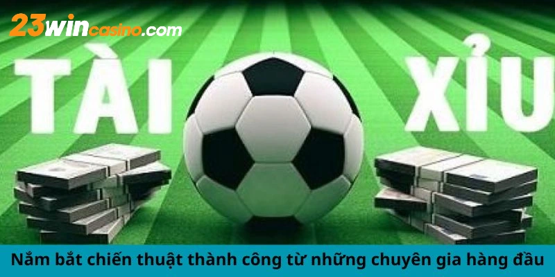 Nắm bắt chiến thuật thành công từ những chuyên gia hàng đầu